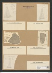 Coscinodiscus perforatus var. cellulosus Grun. (de-Toni-Nr.: Genus 202, Species 5079) Zeichnungen Sammlung Grunow Nr. 8835 (NHMW-BOT-W0378456)